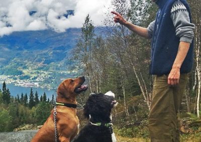 En instruktør som lærer hundene å sitte på vent