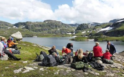 Gullruta i Etnefjellet