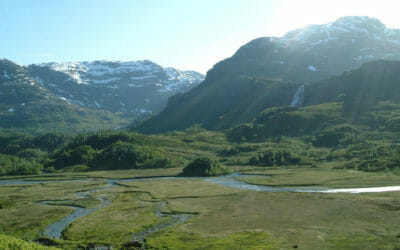 Liasetnuten (Buernuten)